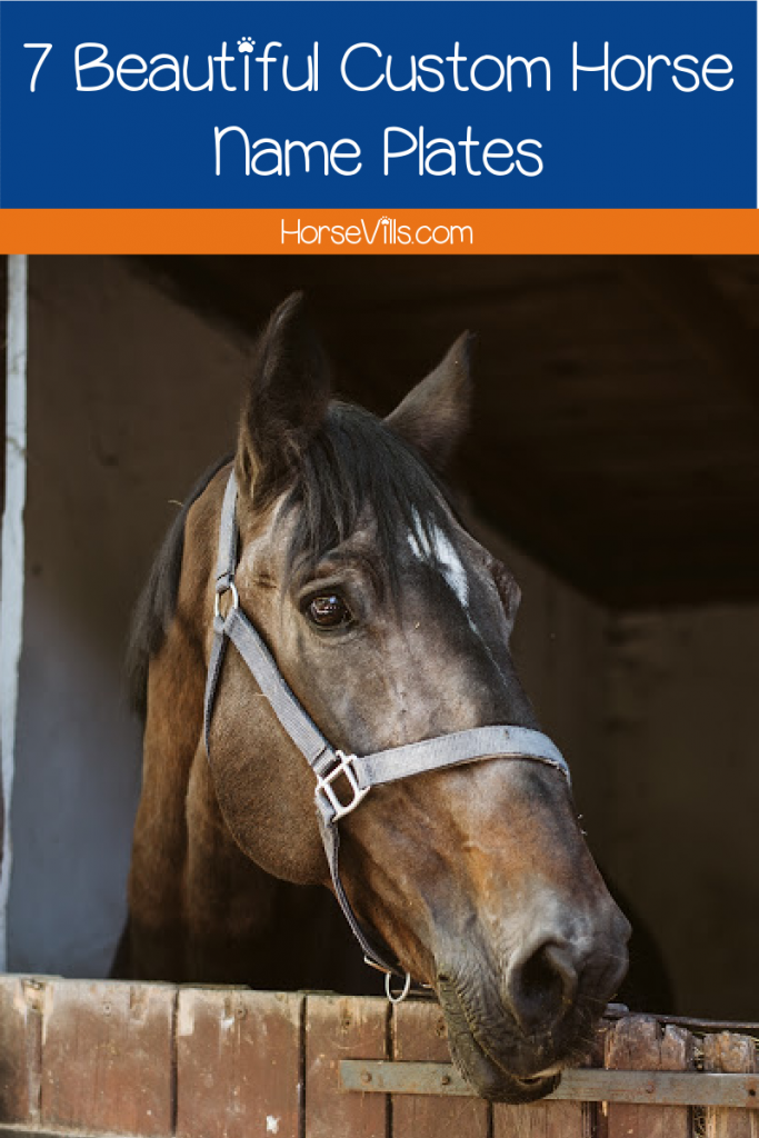 Looking for some amazing custom horse name plates to give your stable a little more pizzazz? Check out these 7 awesome ideas!