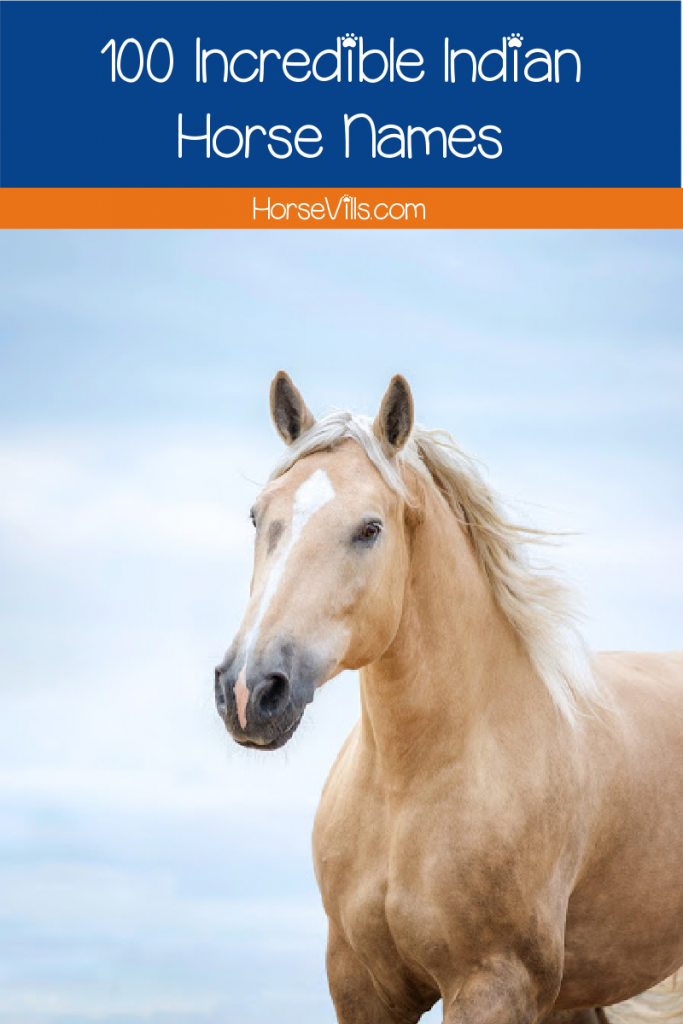 Looking for some incredible Indian horse names? Check out 100 that we love from India’s culture! We included 50 each for males and females. 