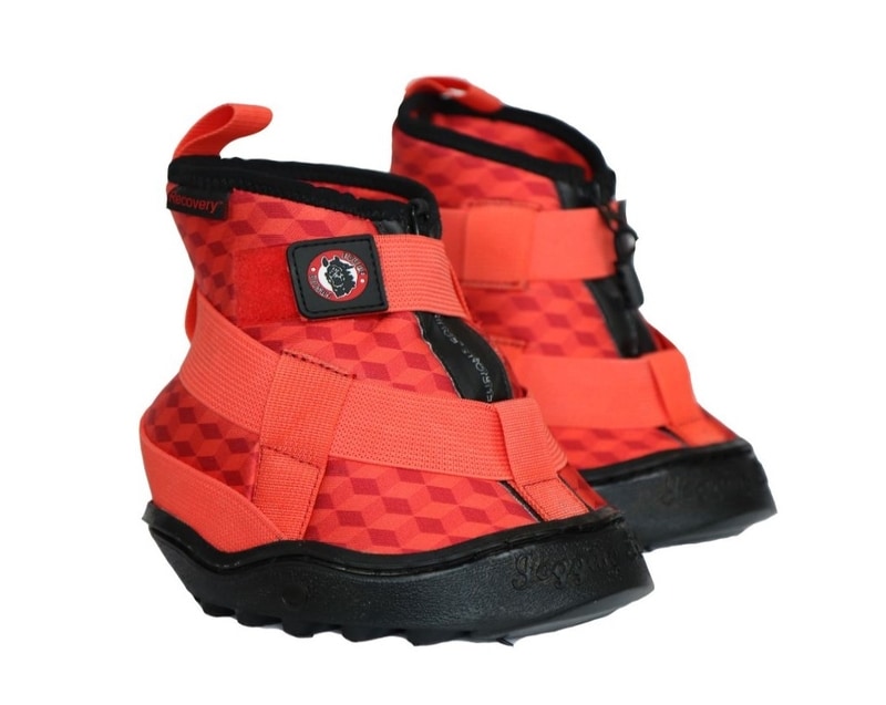 red equine fusion recovery shoe