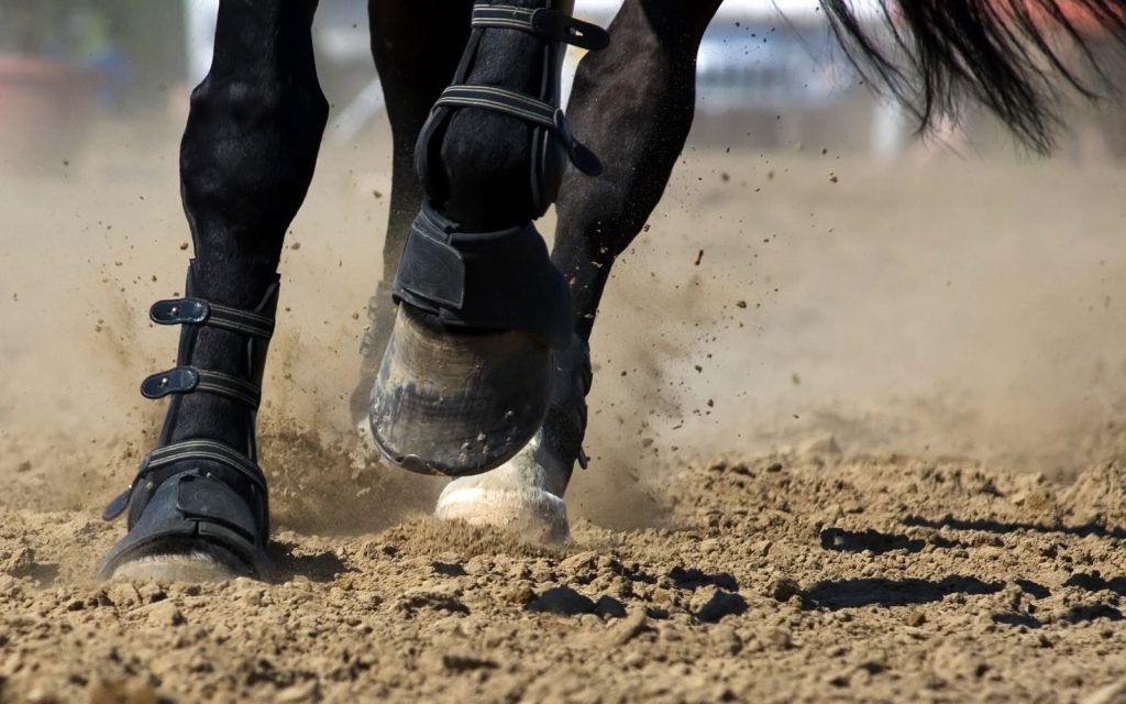 black horse running with hoof boots on