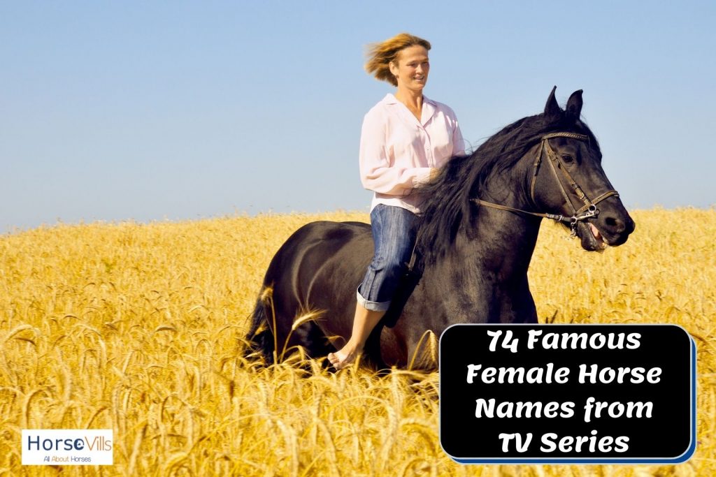 a short hair lady riding a black horse in a field