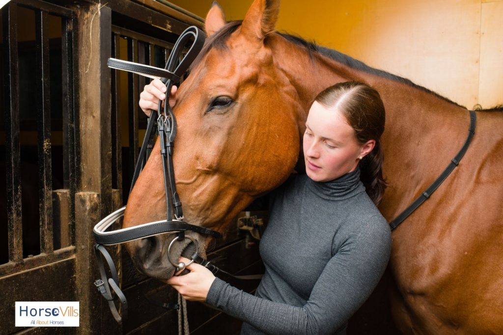 an equestrian fitting her horse the correct cob bridle size
