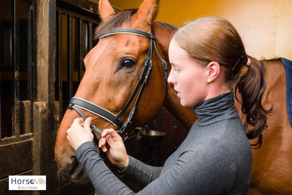 an equestrian getting her horse the correct cob bridle size