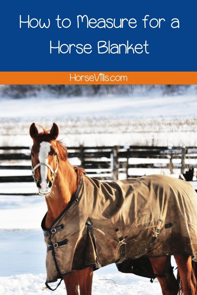 how to measure for a horse blanket article