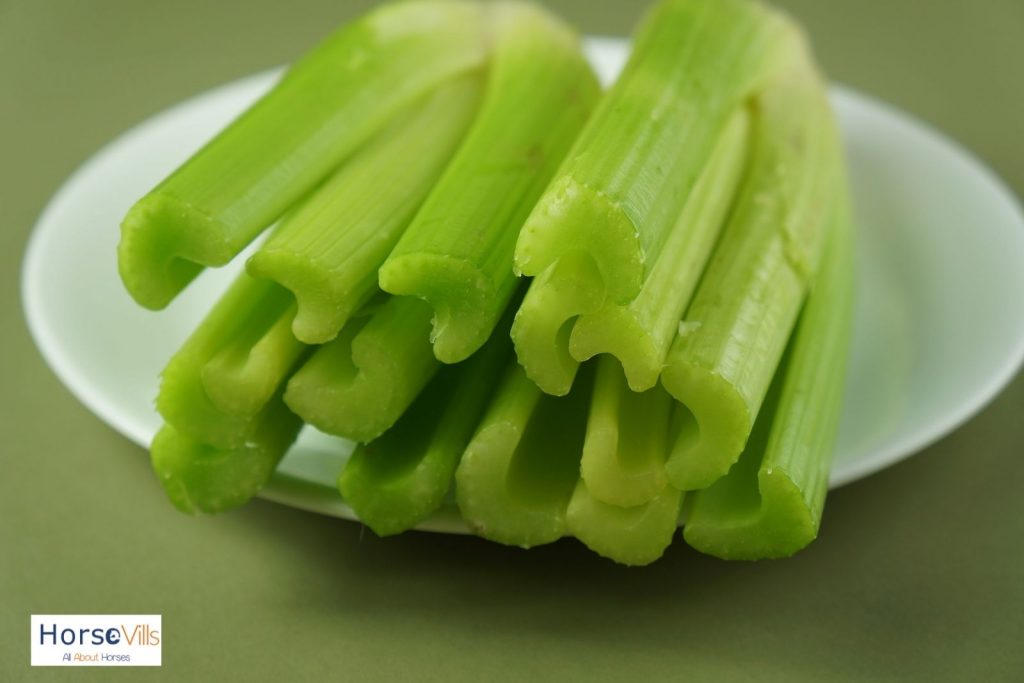 celery on a white plate