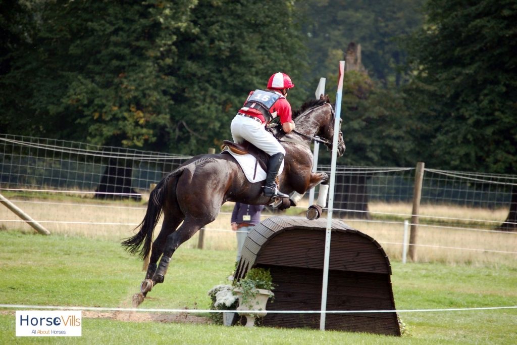 an equestrian riding a jumping horse for an eventing horse riding competition