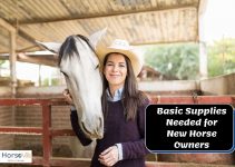 Basic Products & Supplies Needed for New Horse Owners
