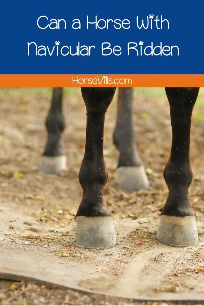 Horse hooves with text, Can a Horse With Navicular Be Ridden?
