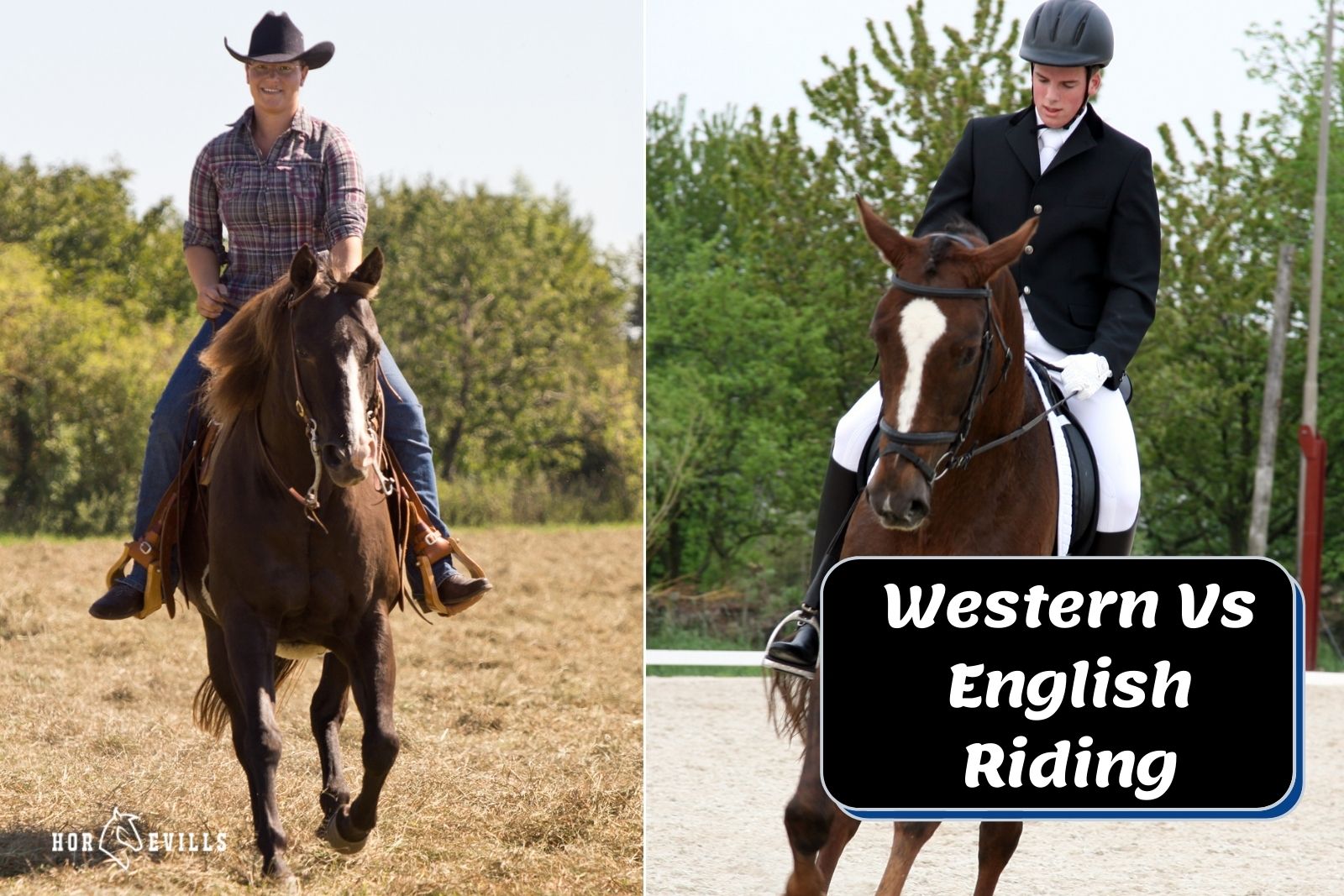 cowboy rider and English rider: Western vs English Riding
