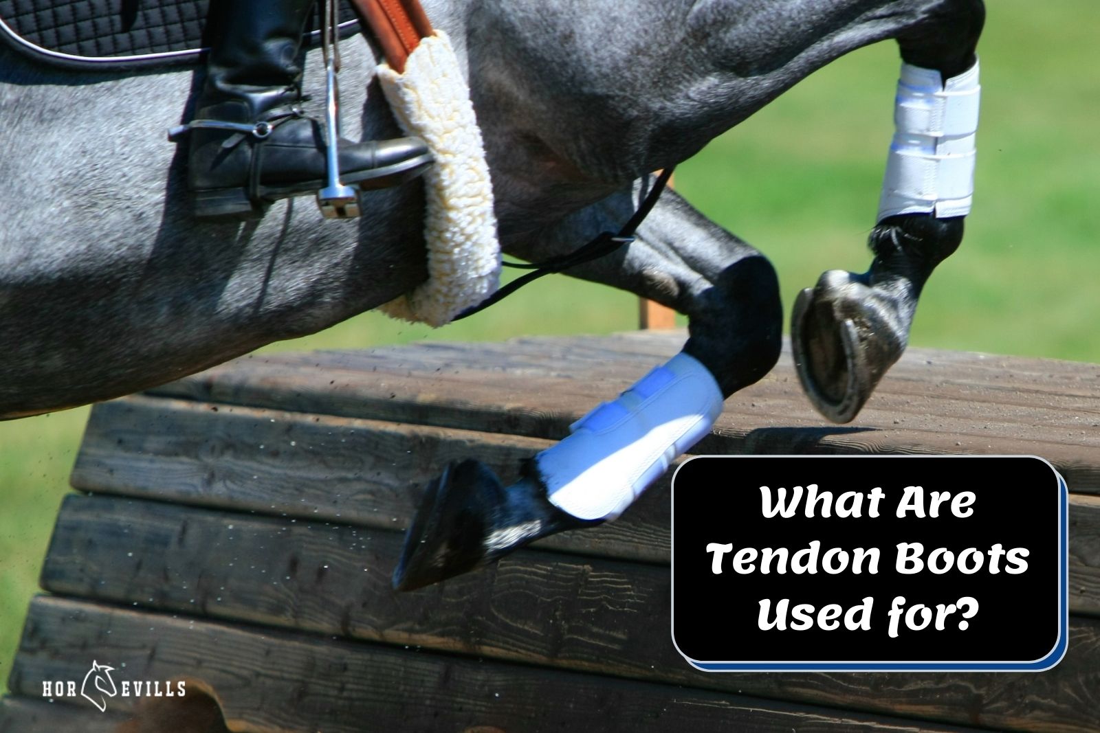 horse using tendon boots in a showjumping event but what are tendon boots used for?