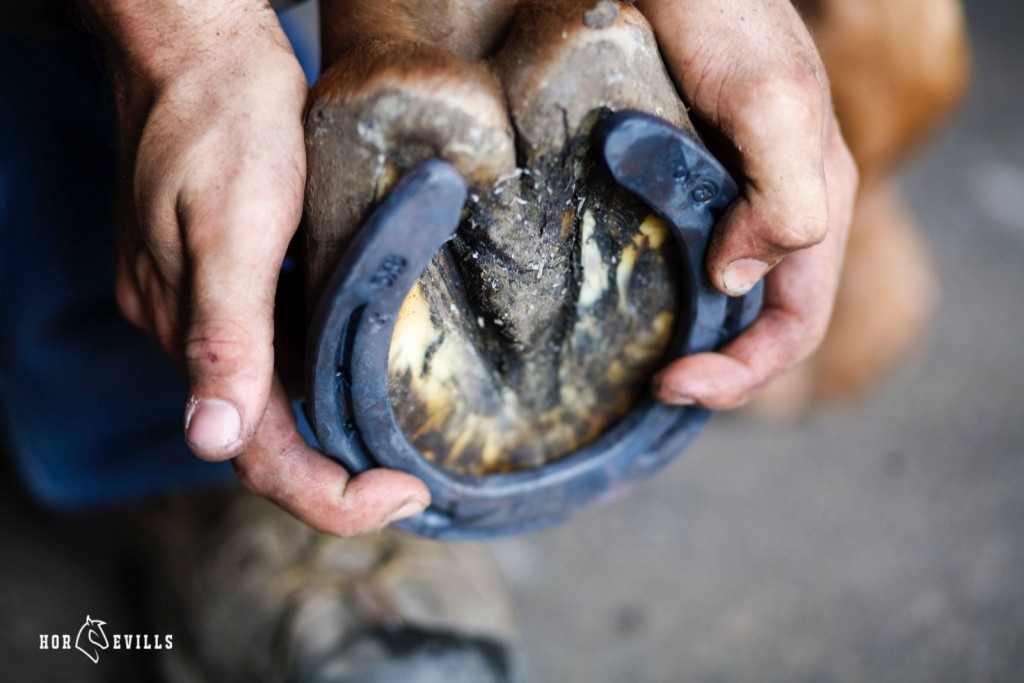 man's hand holding horseshoes: do horses need shoes for trail riding?
