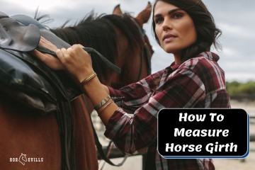 How to Measure a Horse for a Girth & Why You Should Do it