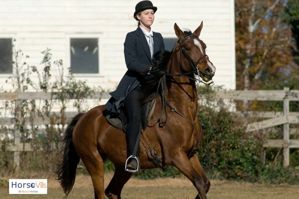 an equestrian lady doing saddle seat riding