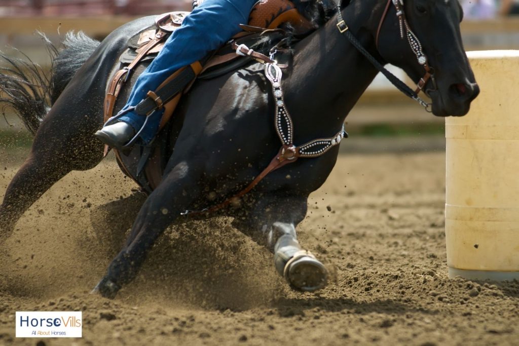 man having a barrel racing with his black horse