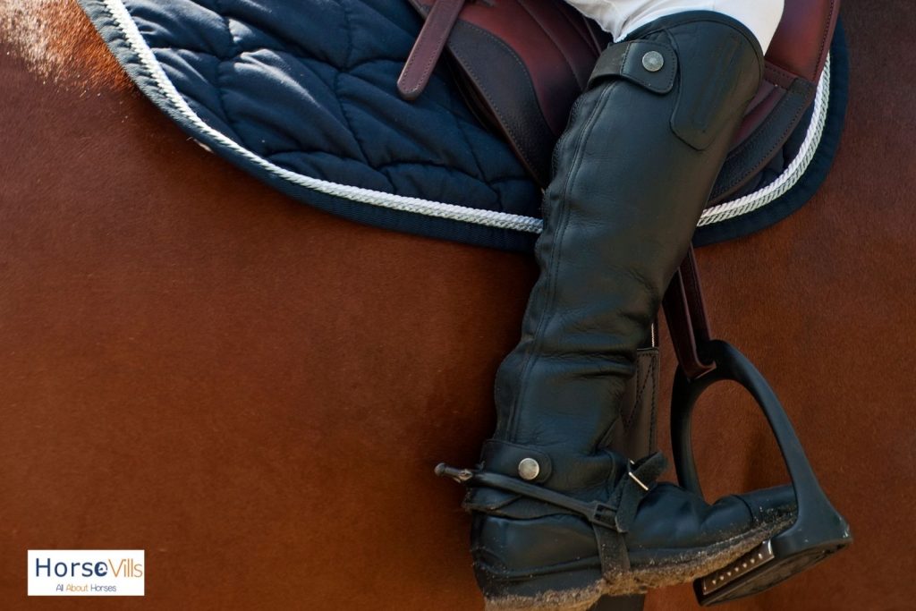 close-up shot half chaps but what is purpose of chaps?