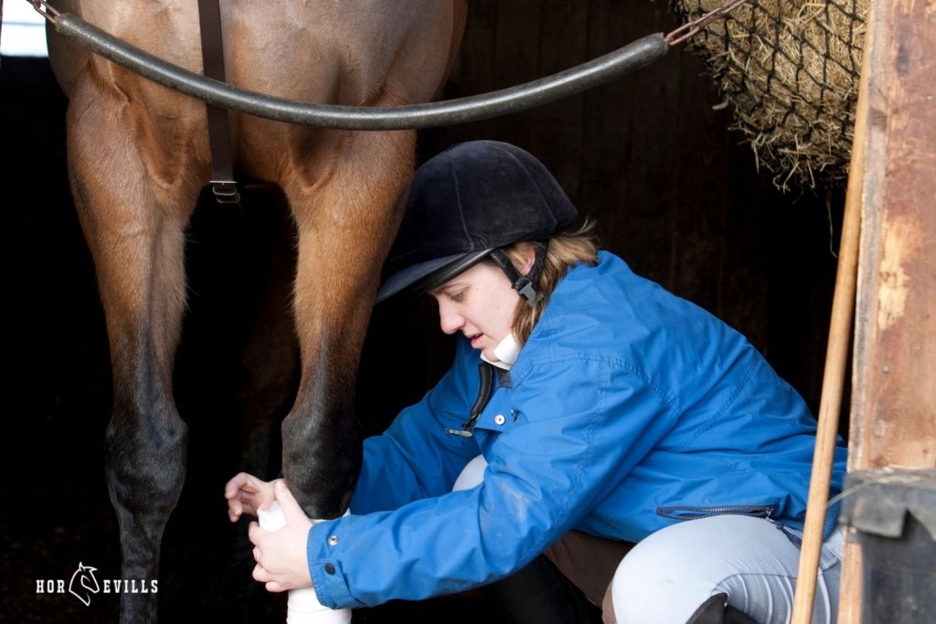 men putting tendon boots on legs of injured horse