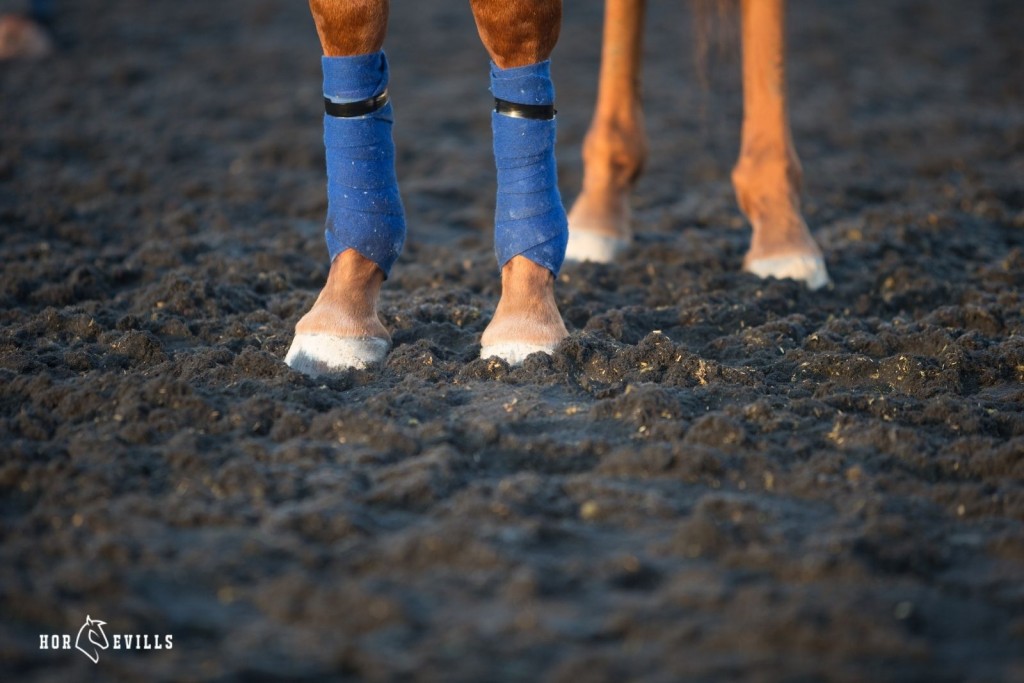 a horse boots type that use to pillow wraps on legs