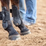 horse wearing tendon boots- a horse boot type that protect tendon