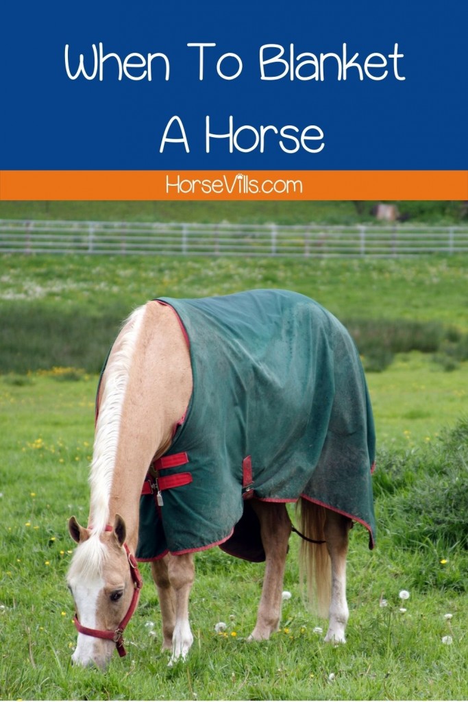 A Horse In Ground With Blanket- When To Blanket A Horse Guide