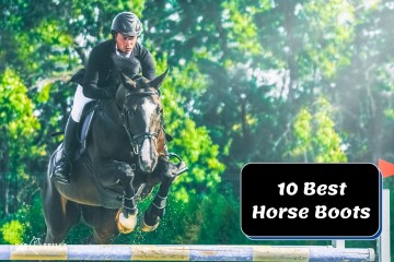 Top 10 Horse Boots That Expert Recommended