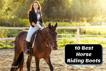 10 Top Rated Horseback Riding Boots (Review Guide)