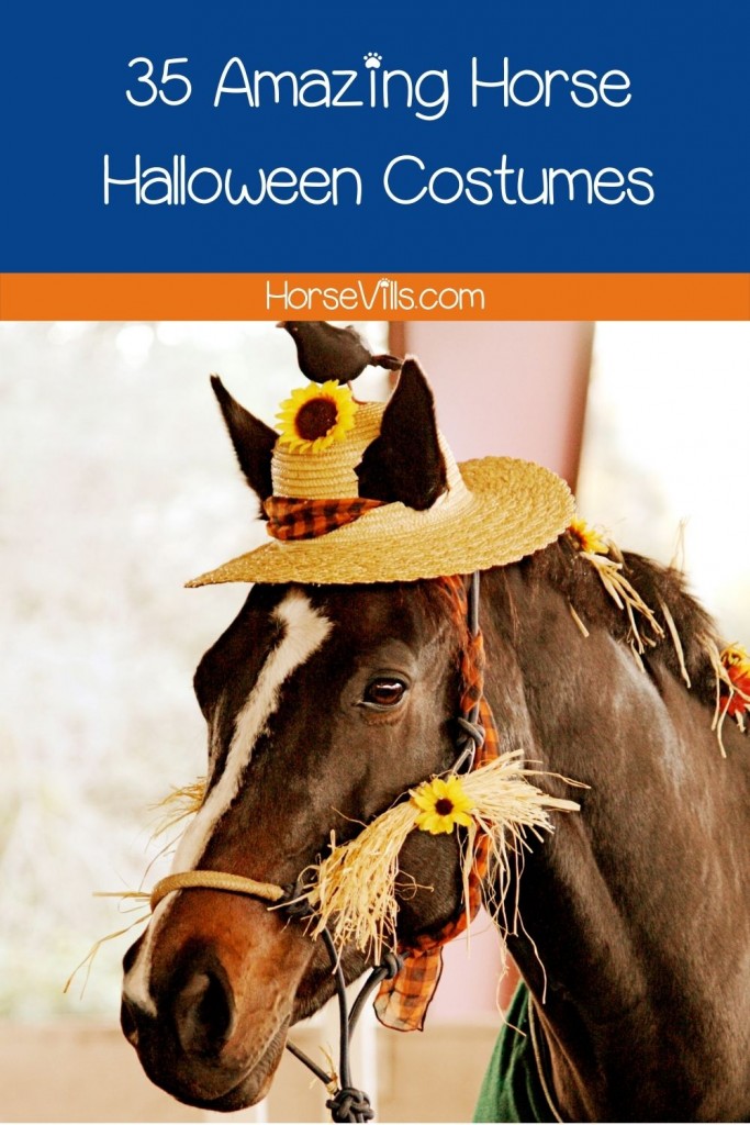 horse with sunflower hat as her Halloween costumes