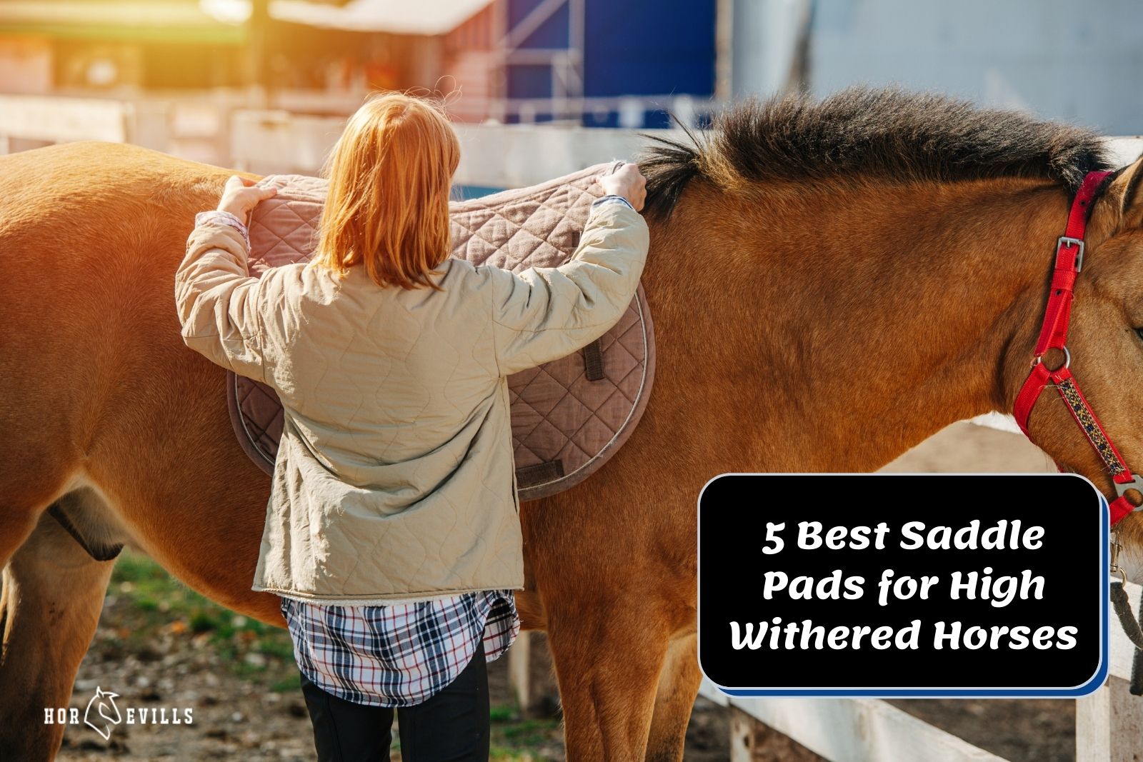 lady putting the best saddle pads for high withered horses to her stallion