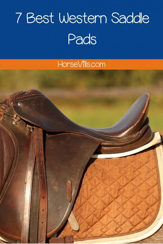 a western saddle pad fitted on horse