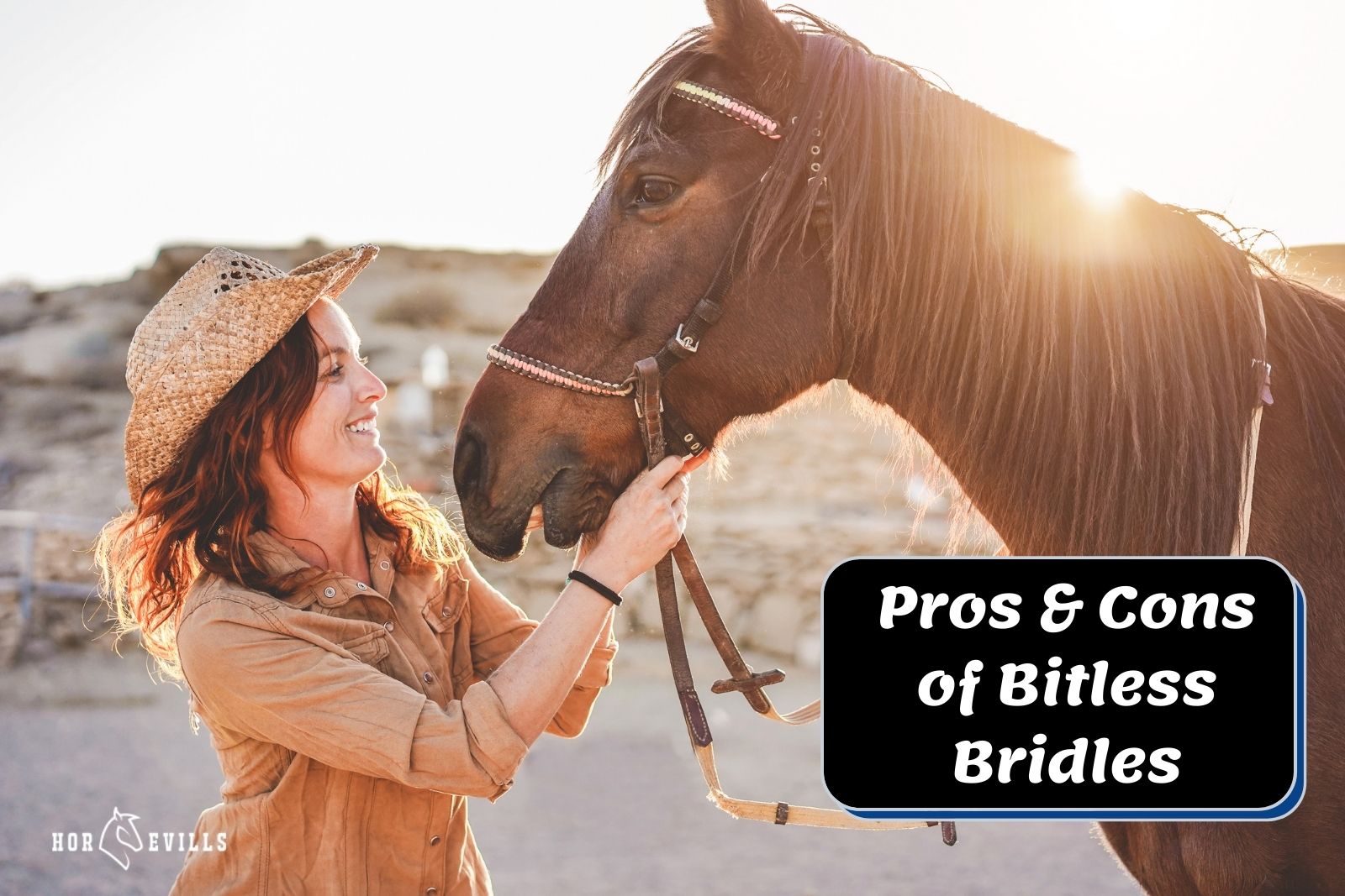 horse bitless bridles pros and cons