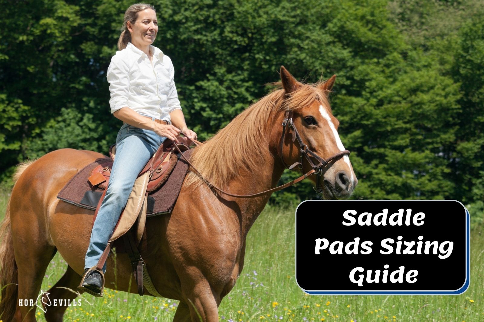 lady having a trail riding with her horse (saddle pad sizes guide)