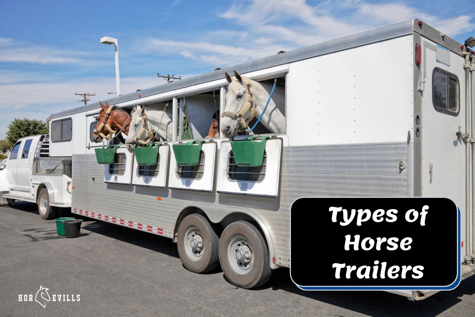 horses riding types of horse trailers