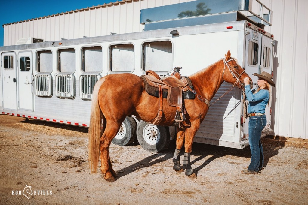 horse getting ready to ride one of the types of horse trailers