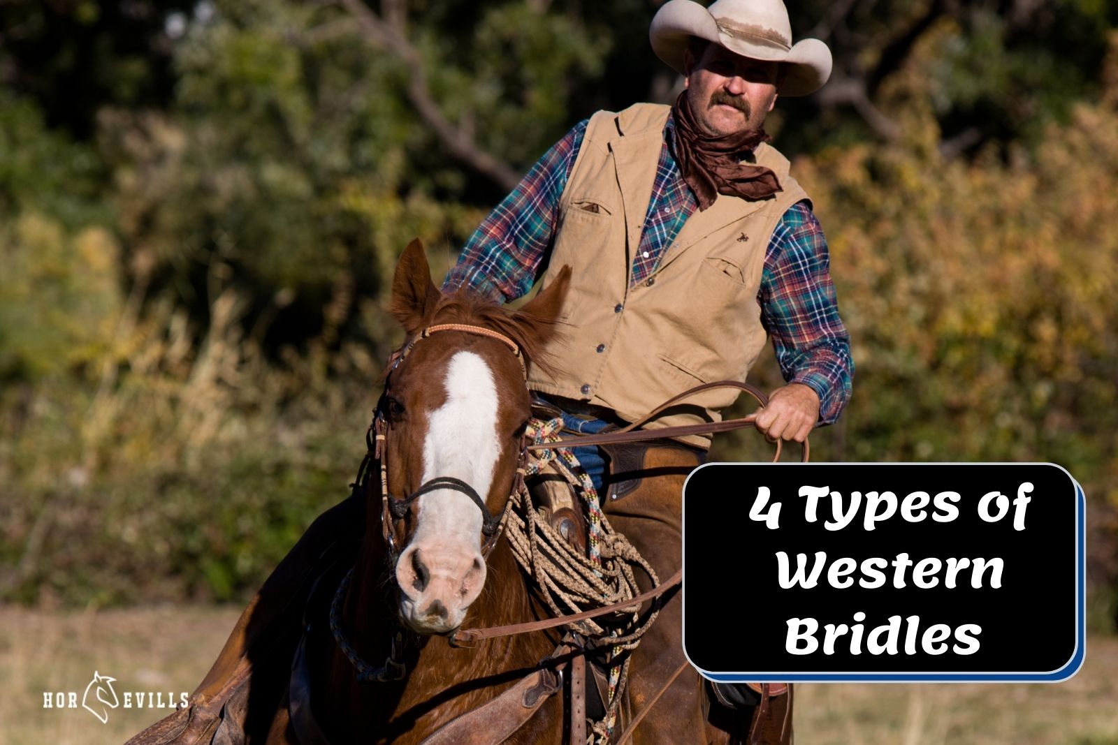 cowboy riding a horse with types of western bridles