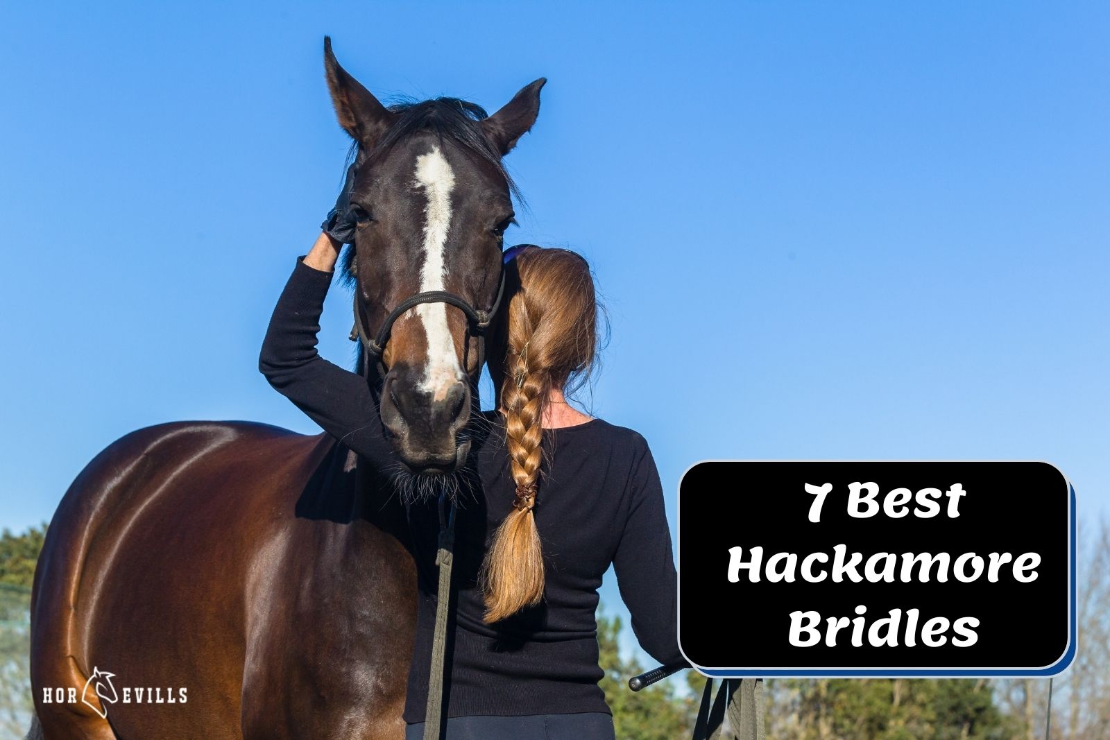 lady hugging her horse wearing hackamore bridles