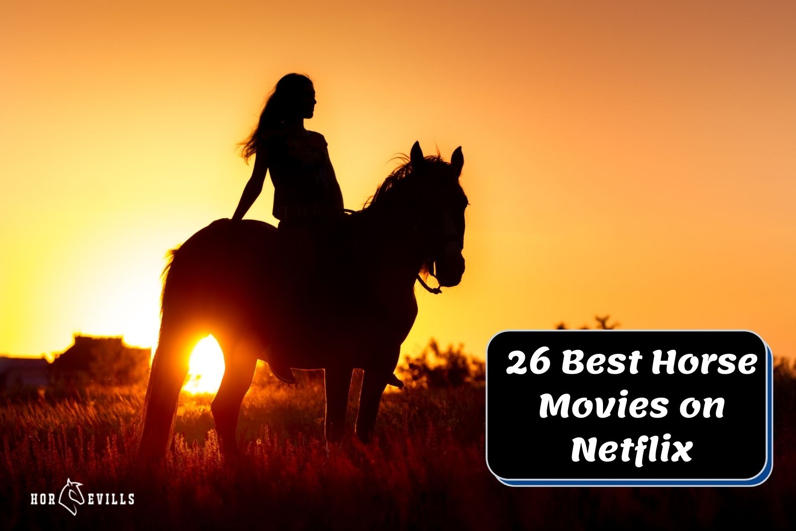 girl riding on a horse with a sunset background for the best horse movies on netflix