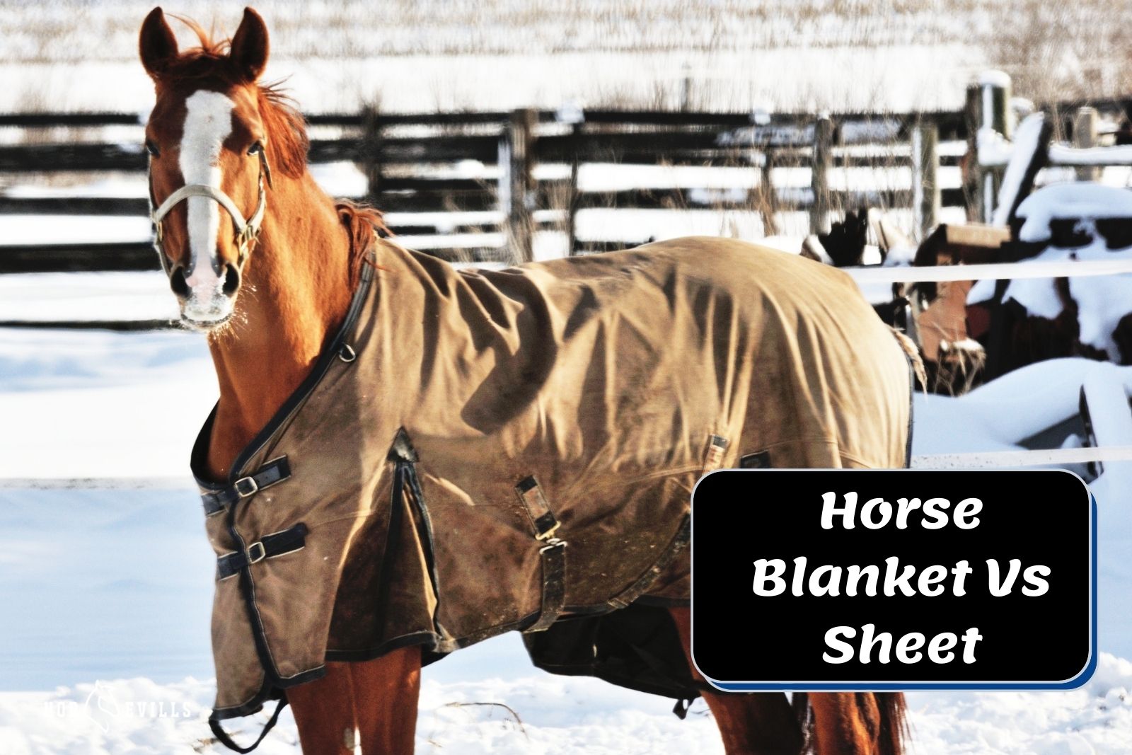 horse wearing a waterproof blanket standing beside 