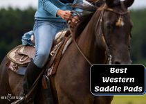 Top 8 Best Western Saddle Pads for Horses [Reviews in 2023]
