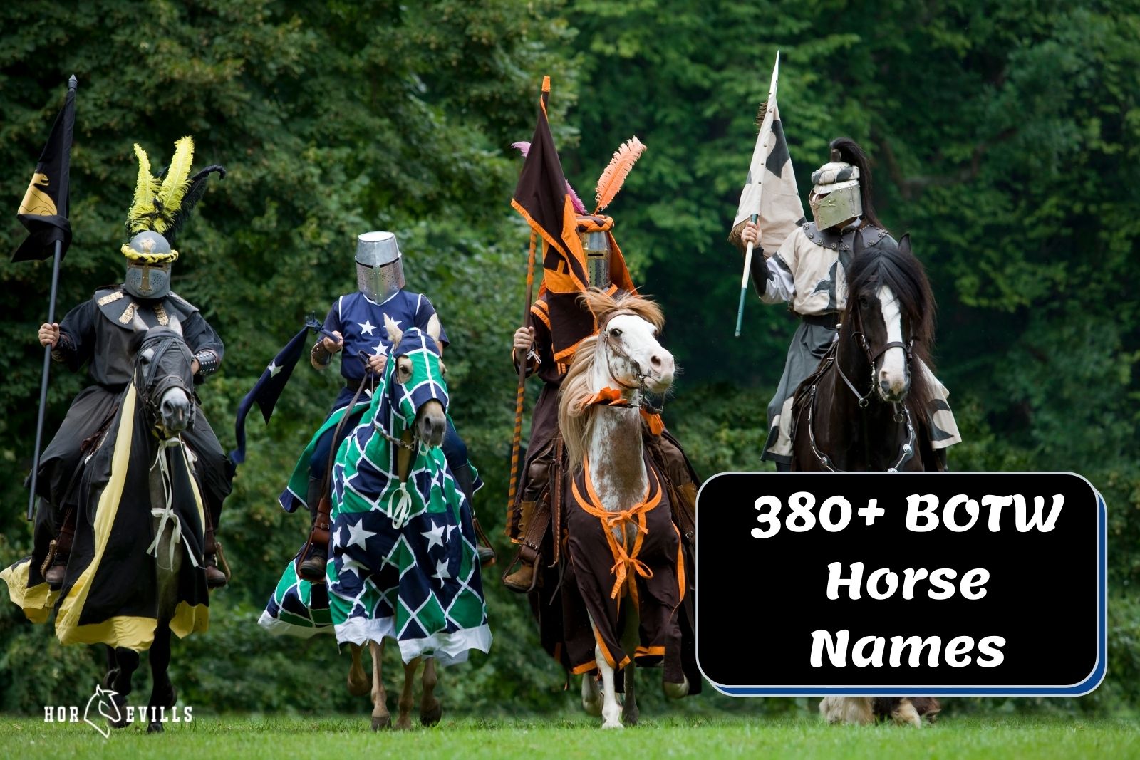 photo of horses with different armors beside "botw horse names" text