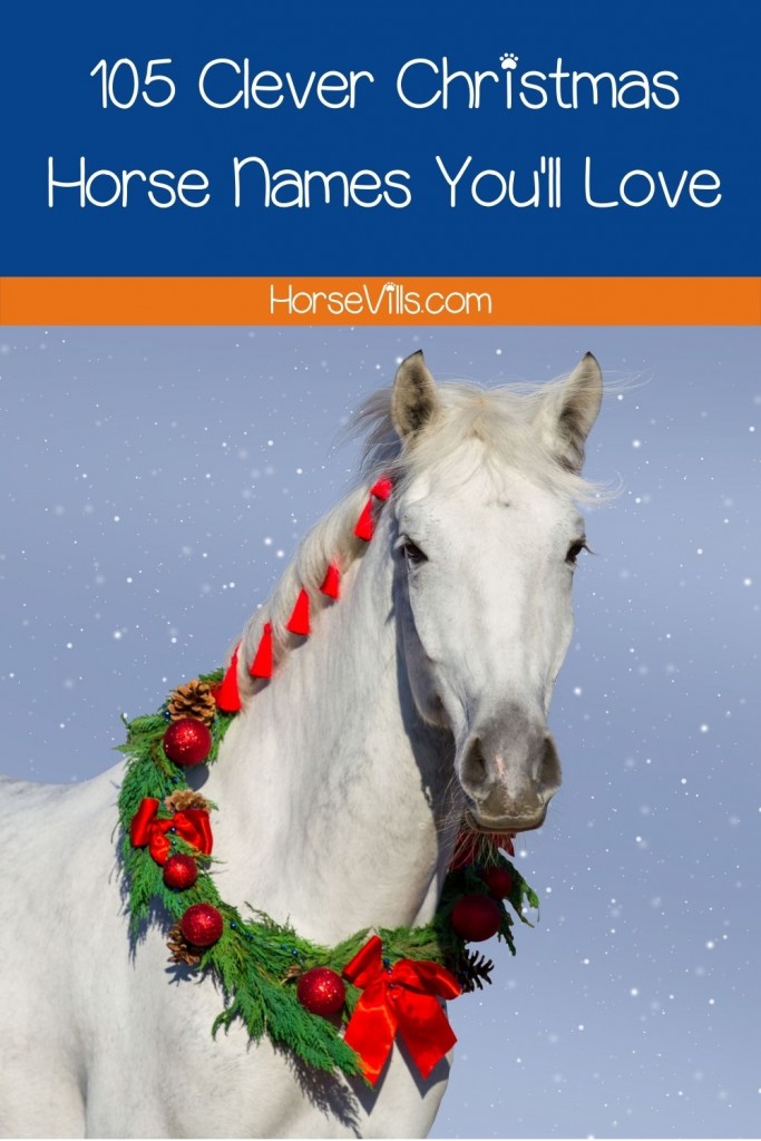 White horse with holly and text 