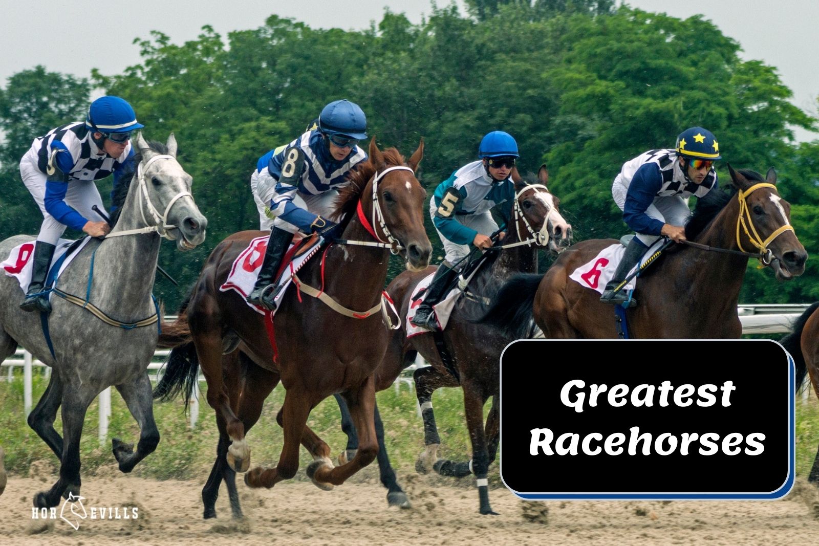 greatest racehorses of all time