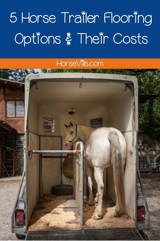 horse inside a horse trailer