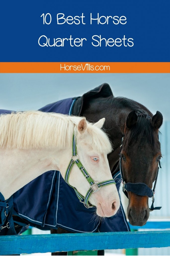 horses wearing the Best Horse Quarter Sheets for winter