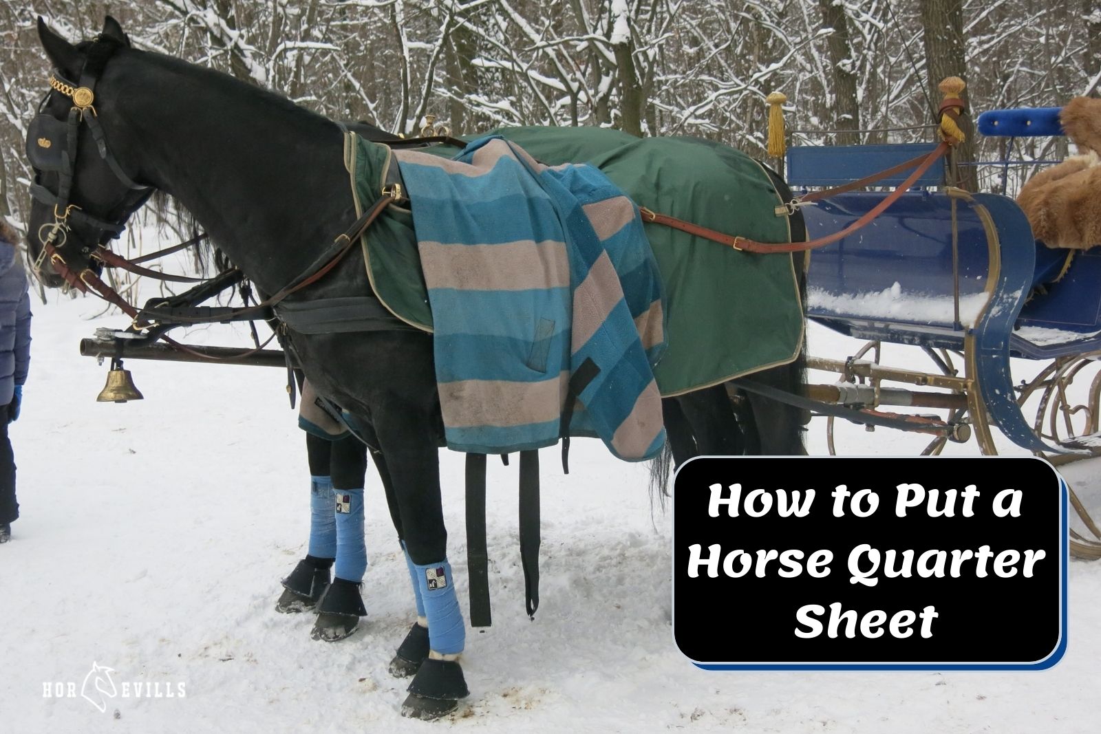 black horse beside "How Do You Put a Quarter Sheet On a Horse" text