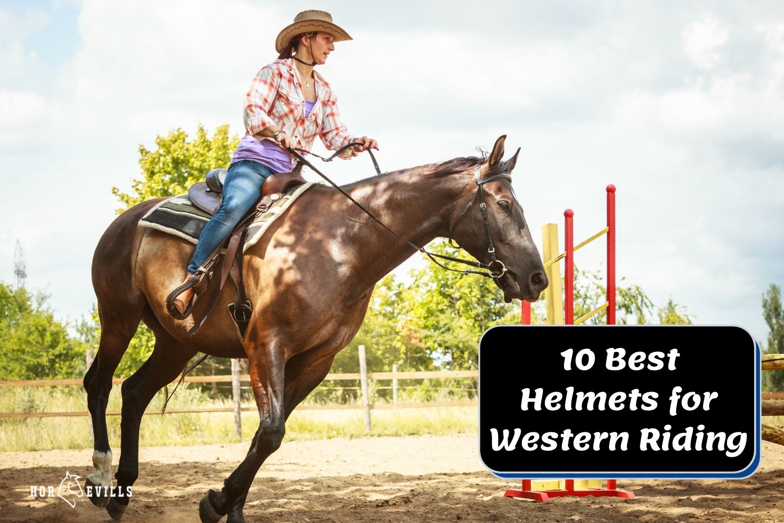 Troxel Sierra Brown Vented Safety Horse Western Low Profile Riding Helmet Large 