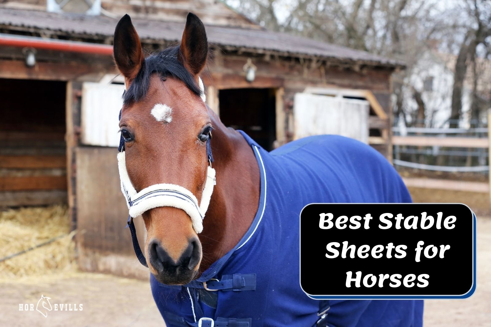 mare wearing the best stable sheets for horses