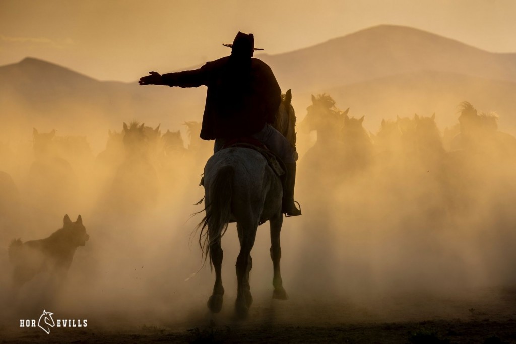 silhouette of a man riding a horse