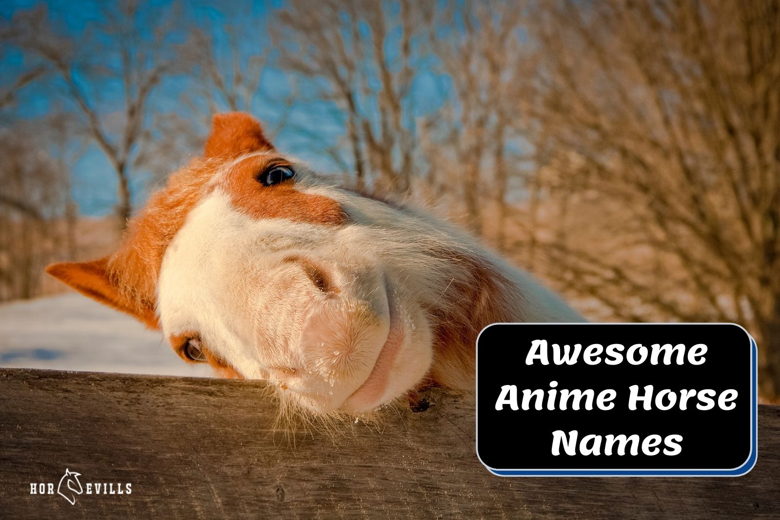 cute filly leaning beside Anime Horse Names poster