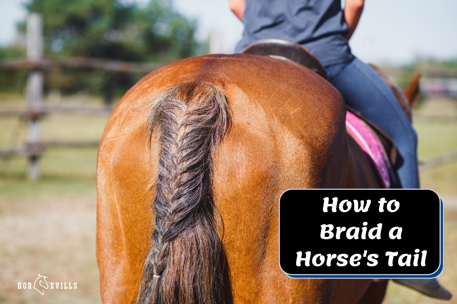 shot of horse fishtail braid (How to Braid a Horse's Tail)