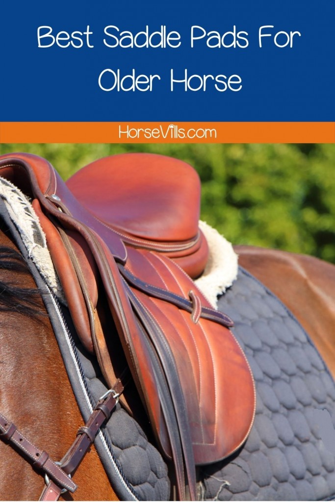 brown saddle pad on horse under title Best Saddle Pads For Older Horse