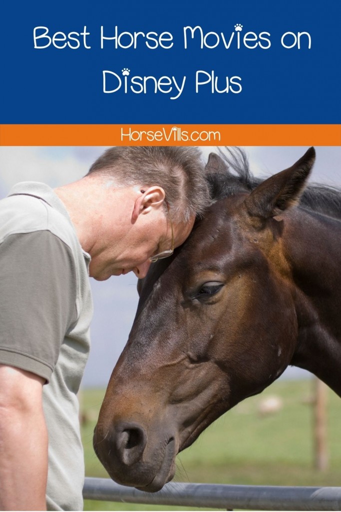 A man hugging a horse under title Best Horse Movies on Disney Plus